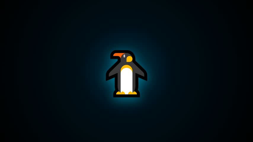 penguin vector video, taken from the front position