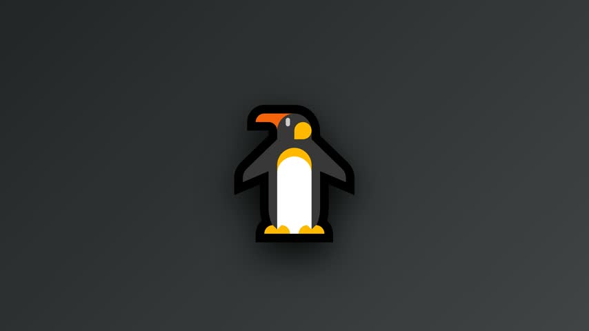 penguin vector video, taken from the front position