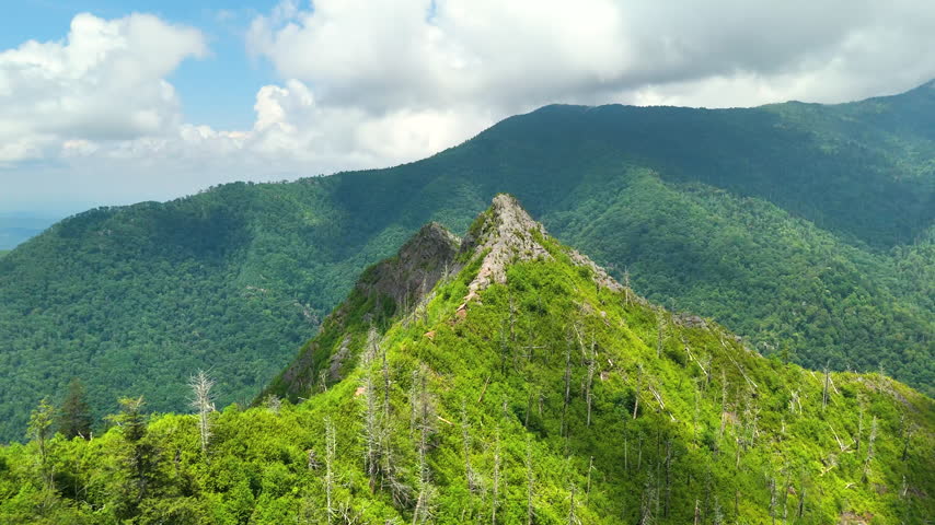 Chimney Tops in summer. Forest on Appalachian mountain hills in Tennessee. Summertime landscape of beautiful nature.