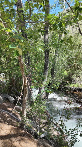 A Vertical view of the Bio Pine Creek along the Big Pine Trail showing the water flowing and cascading over rocks in the John Muir National Wilderness as a man hikes the trail with the trail and mountains