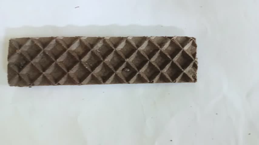Jonggol, West Java, Indonesia, July 11, 2026; One chocolate wafer. White background.