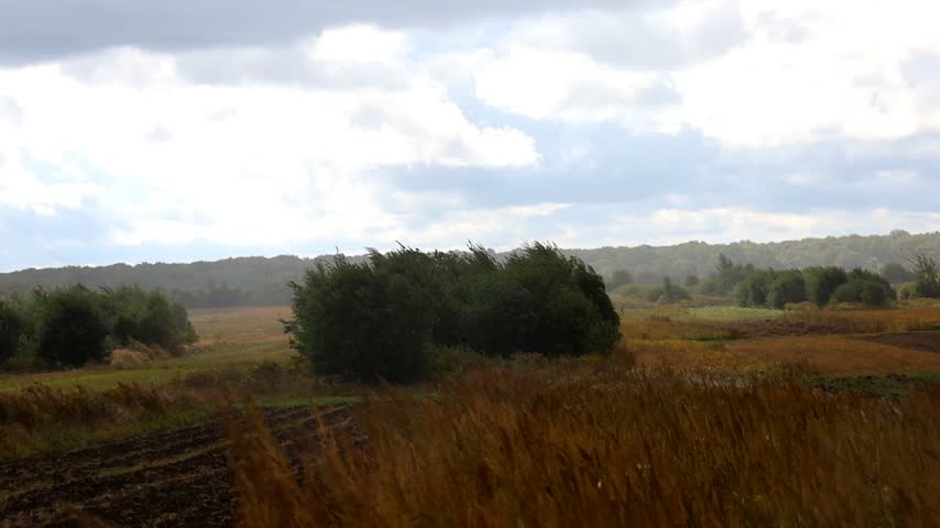 Landscape of a wide autumn field with bushes and trees under a cloudy sky with rays of light. Golden tones of dry grass contrast with green bushes and distant forest.