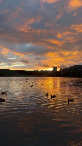 Picturesque sunset over the lake with ducks and the silhouette of the city