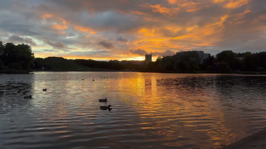 Picturesque sunset over the lake with ducks and the silhouette of the city