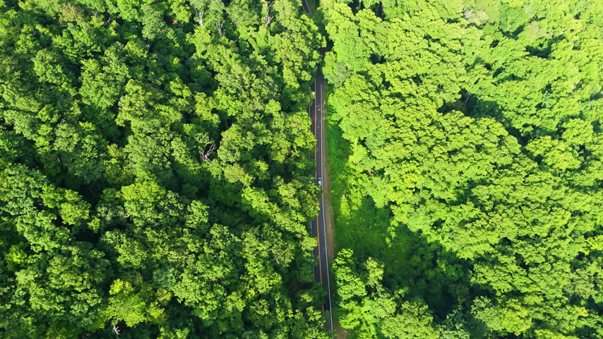Mountain pass road in North Carolina Appalachian mountains, USA. Blue Ridge Parkway in summer season.