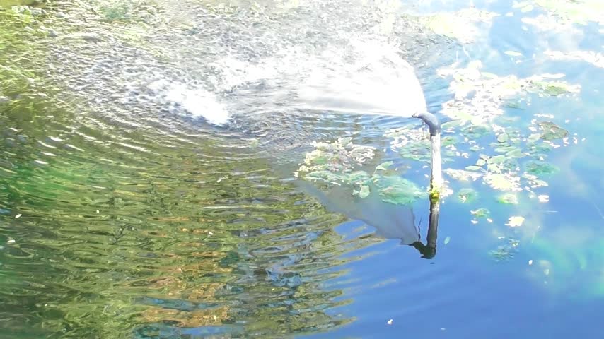 splashing fountain in the pond