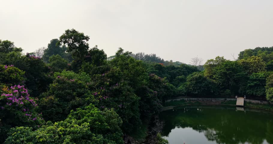 A scenic landscape featuring a calm, reflective pond surrounded by lush green trees and bushes with purple flowers under a pale, overcast sky.