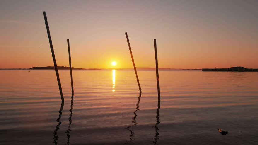 View of a peaceful sunset casting a golden glow over the calm sea with wooden poles protruding from the water in Gothenburg, Vastra Gotaland County, Sweden.