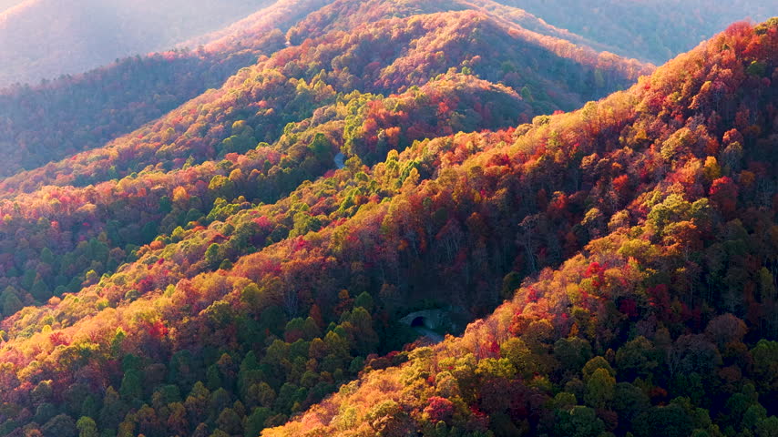 Road tunnel on Blue Ridge Parkway carved through the Appalachian Mountains in North Carolina at sunset. Vibrant fall foliage frames scenic highway and peaceful forest landscape.