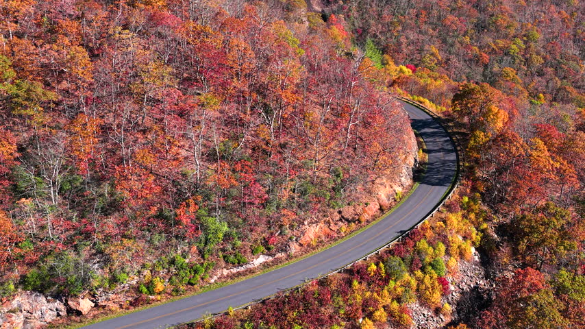 Scenic autumn roadway through Tennessee mountain forests with brilliant seasonal foliage. Quiet landscape featuring an empty road beneath colorful trees.