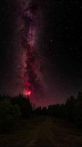 The bright, colorful Milky Way galaxy in the night sky above a forest and the silhouettes of fir trees.