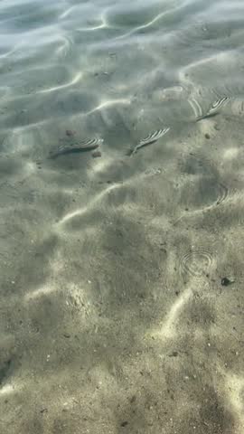 Tranquil shimmering water surface with sand beneath and gentle ripples Egypt. Hurghada