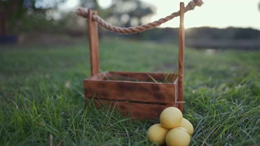 Easter eggs courtyard grass. The wooden basket rests on green grass, showcasing three yellow balls. The basket