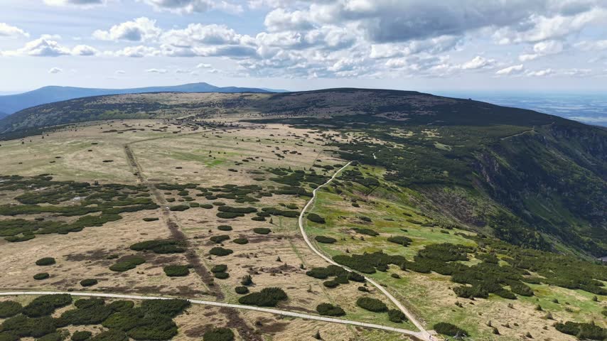 High aerial perspective shows winding dirt trail cutting through rolling alpine meadows with textured ground, scattered shrubs, distant ridges and soft clouds.
