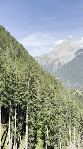 Steep Forested Hillside Facing a Distant Mountain Peak in Switzerland