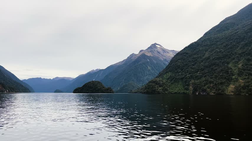 Steep bush covered walls of Doubtful Sound drop to dark still water under grey cloud, a small wooded islet sitting mid channel with a snow patch above. Wide shot