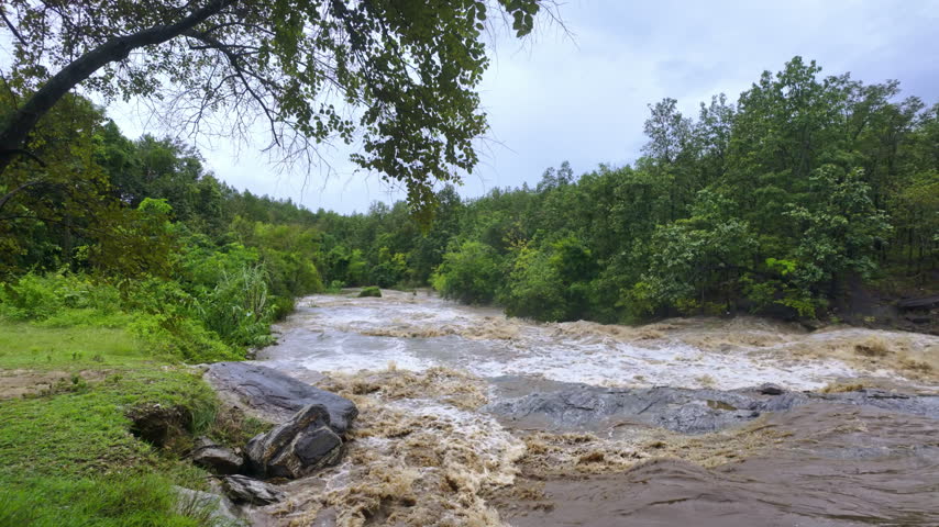 Wide angle view of fast flowing mountain stream and rushing river rapids surrounded by green trees under blue sky