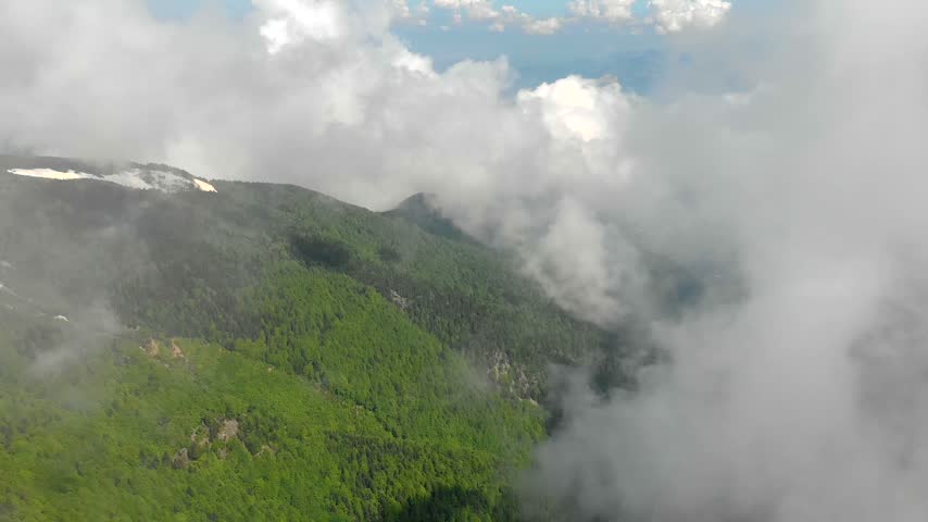 New Zealand foggy forest valleys spread across remote mountains under shifting cloud layers. Mist covered hills and native woodland ridges create wild alpine scenery, moody nature. Moist mountain air and low cloud create layered visibility across the forested valleys and ridgelines. The scenery is suitable for themes of temperate wilderness, native forest, atmospheric weather, conservation, trekking, and remote travel.