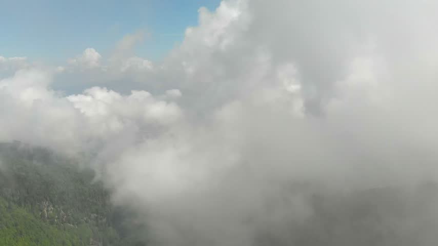 New Zealand foggy forest valleys spread across remote mountains under shifting cloud layers. Mist covered hills and native woodland ridges create wild alpine scenery, moody nature. Fog drifting between wooded slopes produces depth and changing atmospheric texture across the mountainous landscape. The scene supports concepts of forest ecology, highland weather, pristine nature, outdoor adventure, and environmental preservation.