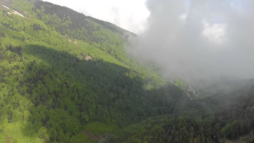 New Zealand foggy forest valleys spread across remote mountains under shifting cloud layers. Mist covered hills and native woodland ridges create wild alpine scenery, moody nature. Cloud and mist interact with steep terrain to create a cool, humid mountain environment. The broad natural view can illustrate wilderness tourism, forest habitat, weather systems, landscape geography, and scenic New Zealand nature.