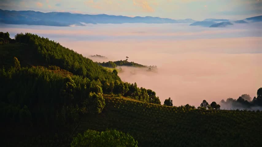 Soft atmospheric vapor rests across sloping agricultural terrain under a warm sunrise sky.