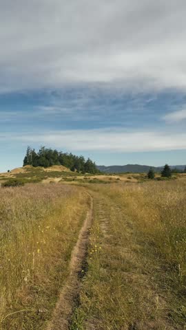 Vertical view moving along a dirt trail through coastal grassy hills under wispy clouds.