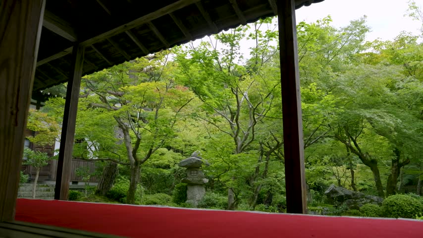 Serene Japanese temple garden with green maple trees and stone lantern, Kyoto