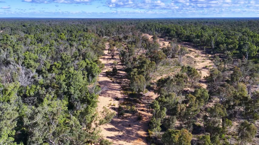 Aerial tracking shot of a dry sandy creek bed running through dense Australian woodland.