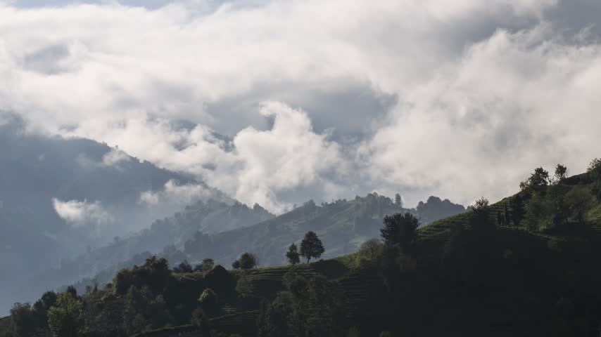 The green tea gardens and the dancing clouds over the green tea gardens, which are the most important source of livelihood of the province of Rize, located in the Black Sea of Turkey.