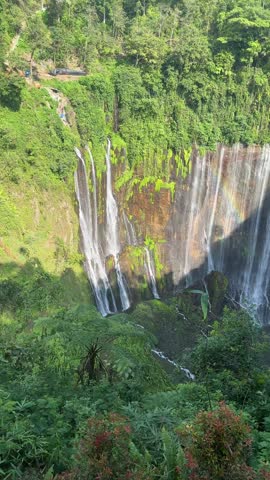 Vertical shot of a wide curtain waterfall with a rainbow cascading down a lush green cliff into a tropical canyon in East Java, Indonesia