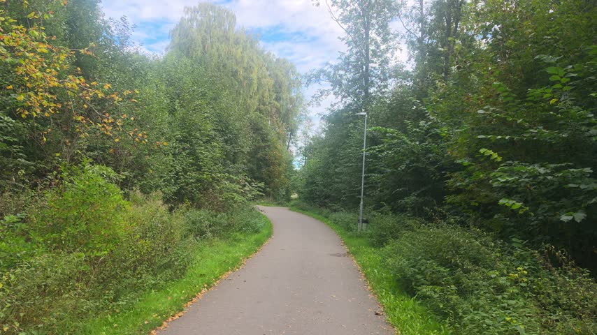 Static shot of a curving asphalt trail surrounded by green forest trees