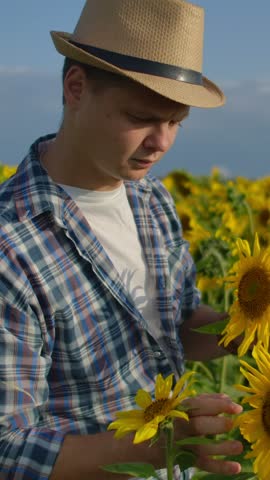 Young farmer in straw hat gently inspecting vibrant blooming sunflowers in a sunny rural field, appreciating nature and seasonal agricultural growth