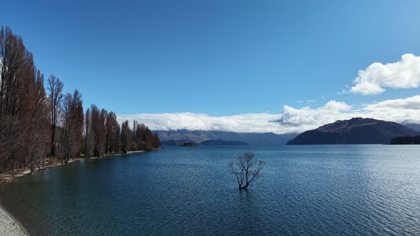 newzeland, lake, wanaka tree, wanaka, trees, mountain, cloud
