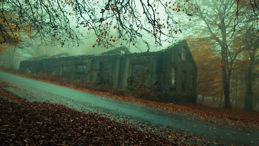 Leaves All Around The Road In Front Of The Abandoned House