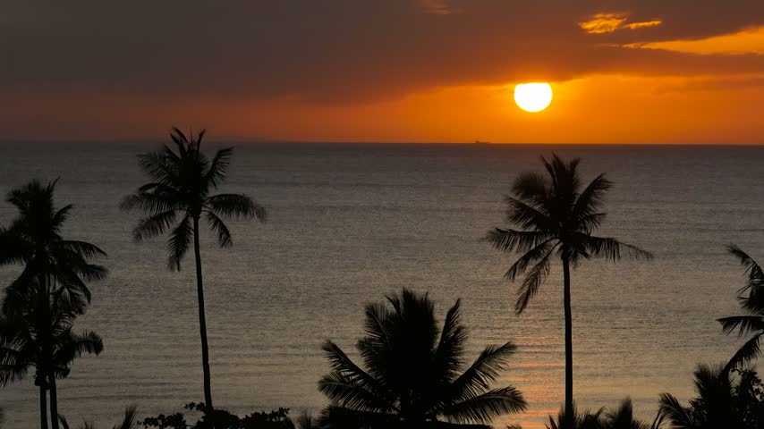 Sunset Over Ocean with Palm Trees Silhouettes - Tranquil Scene at Dusk