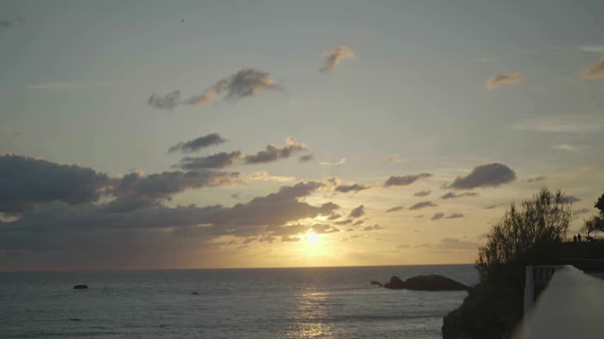 Beach at sunset with plants on the left side and warm golden light over the ocean