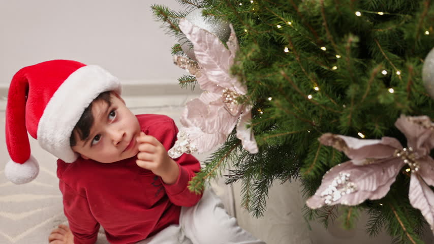 Collection of video clips featuring two young boys and their grandmother decorating a Christmas tree in a domestic room. The brothers, wearing a red Santa hat and a green elf hat, place silver ornaments on the pine branches with the senior woman