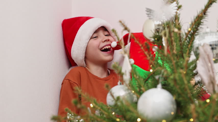 Collection of video clips featuring two young boys and their grandmother decorating a Christmas tree in a domestic room. The brothers, wearing a red Santa hat and a green elf hat, place silver ornaments on the pine branches with the senior woman