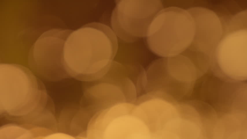 Defocused golden brown tree bokeh, shimmering afternoon sunlight through swaying leaves, natural earthy warm background.