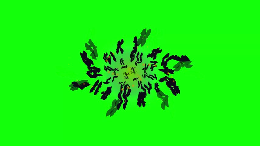 A dynamic motion graphic featuring a swirling vortex of bat silhouettes rotating against a bright green chroma key background.