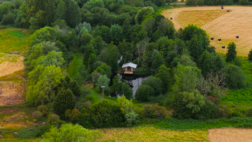 Lush woodland grove with small lakeside house beside reflective pond and harvested farmland. Aerial countryside view with dense green trees and secluded rural home. Peaceful summer landscape with hay