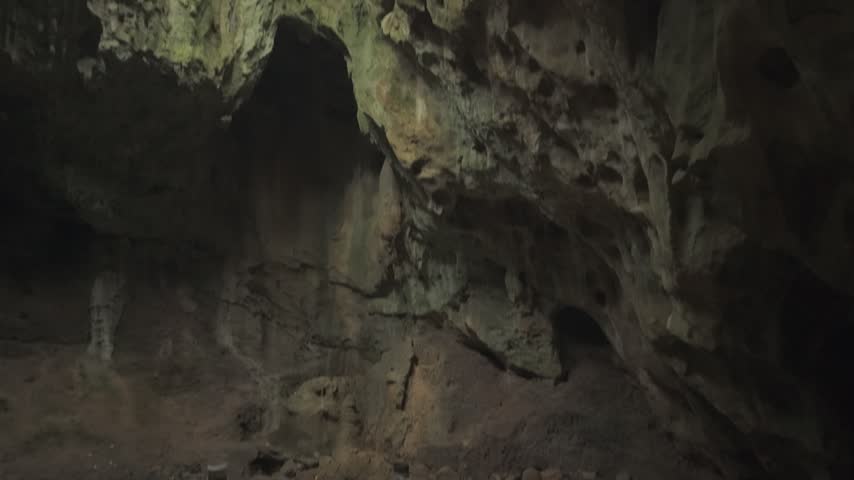 Dimly lit natural cave interior with rough rocky walls and floor. Soft ambient light, empty chamber, geological formation scenery.