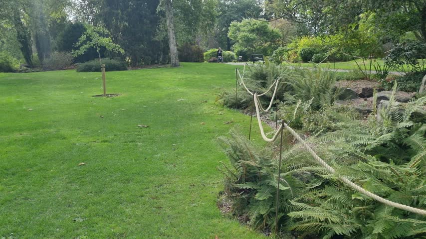 Manicured botanical garden landscape with large trees, gravel path, rope fence and woman walking with a stroller