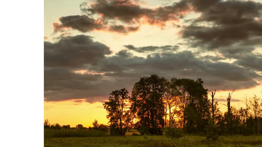 A beautiful golden sunset glowing behind the trees, creating a peaceful and scenic natural landscape.