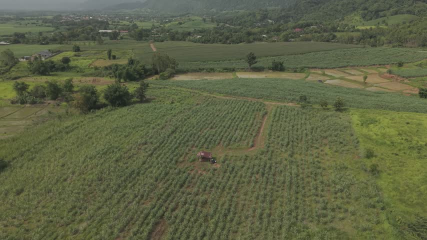 Ground level view of a winding country road through green hills with a gated house nearby.