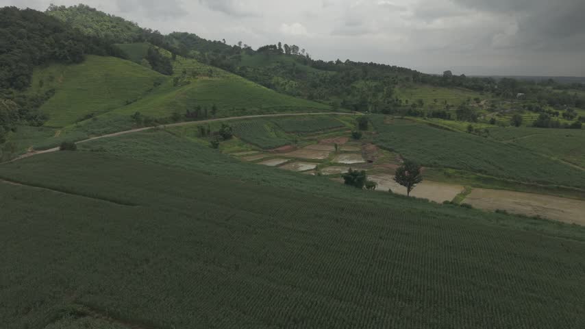 Peaceful aerial view of a tranquil valley pond surrounded by greenery and layered hills.