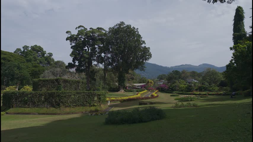 Beautiful panoramic view of the Royal Botanical Gardens in Peradeniya, Sri Lanka
