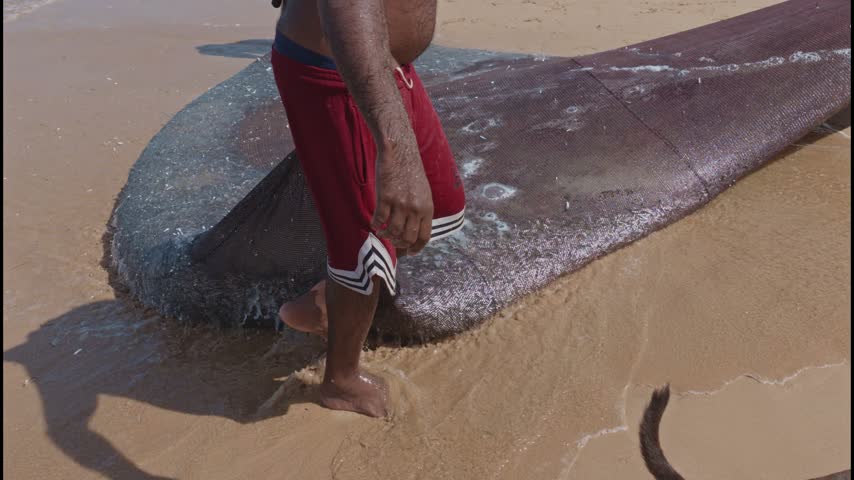 Fisherman hauling a fishing net filled with a large catch of small fish onto a sandy beach