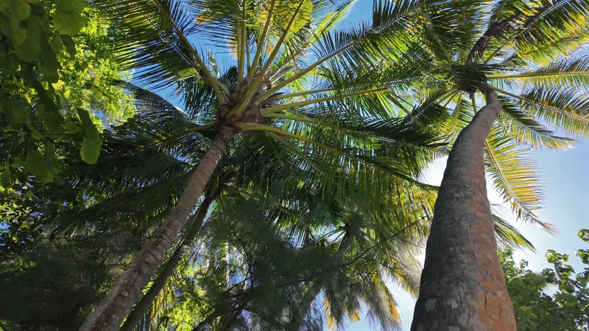 A serene tropical island hidden in the heart of the Maldives.