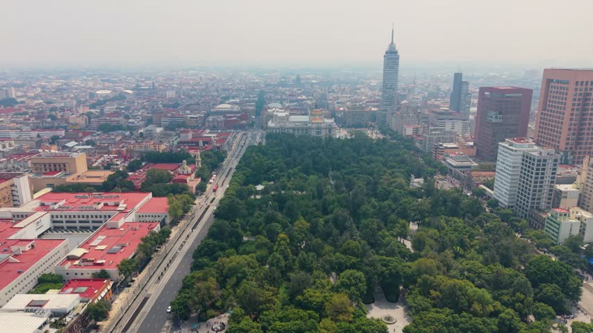 Aerial view of the central avenue and surrounding city streets